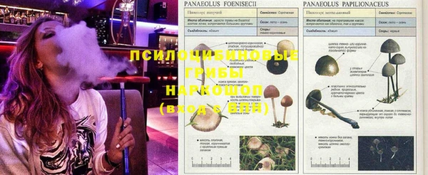 хмурый Саяногорск