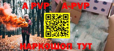 a pvp Кингисепп