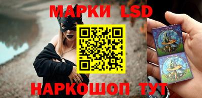 a pvp Кингисепп