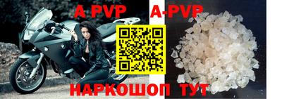 a pvp Кингисепп