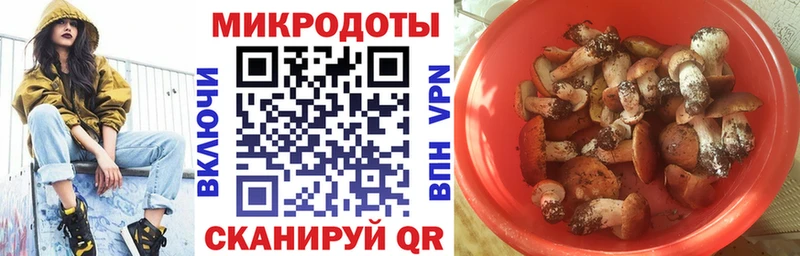 где найти наркотики Кыштым Галлюциногенные грибы MAGIC MUSHROOMS